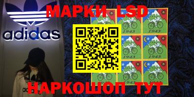 ешки Волгодонск