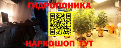 ешки Волгодонск